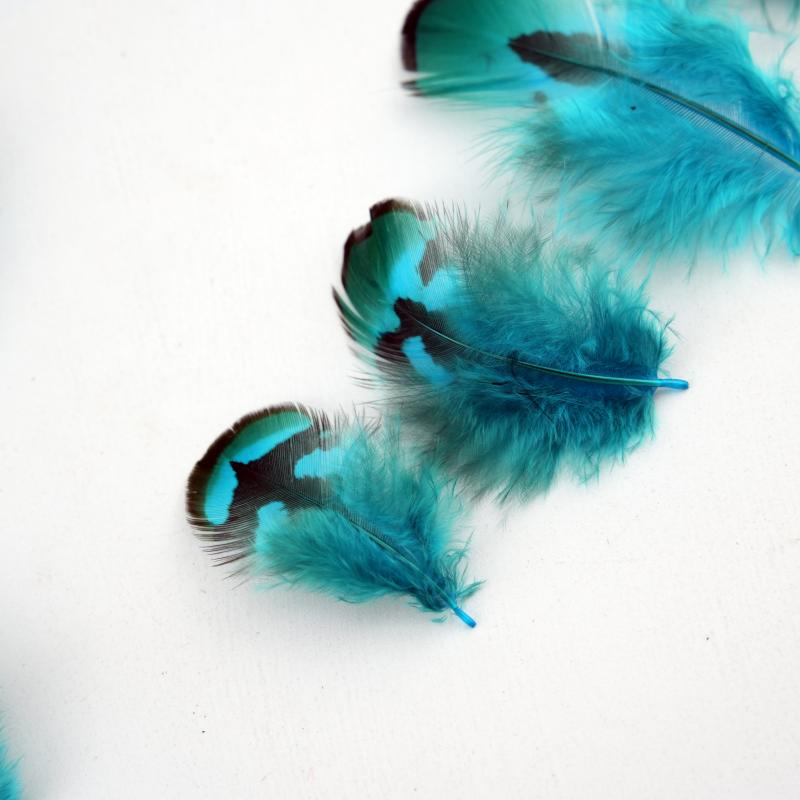 Natural DIY Pheasant Feathers  - Wedding Supply In Bulk recensione e prezzo