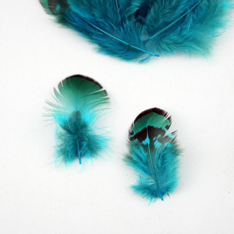Natural DIY Pheasant Feathers  - Wedding Supply In Bulk recensione e prezzo
