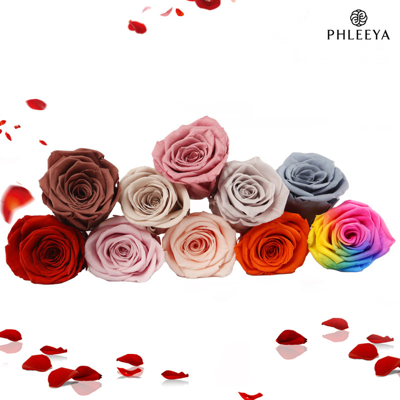 6pcs Eternal Rose Flower Heads - Wedding Supply In Bulk recensione e prezzo