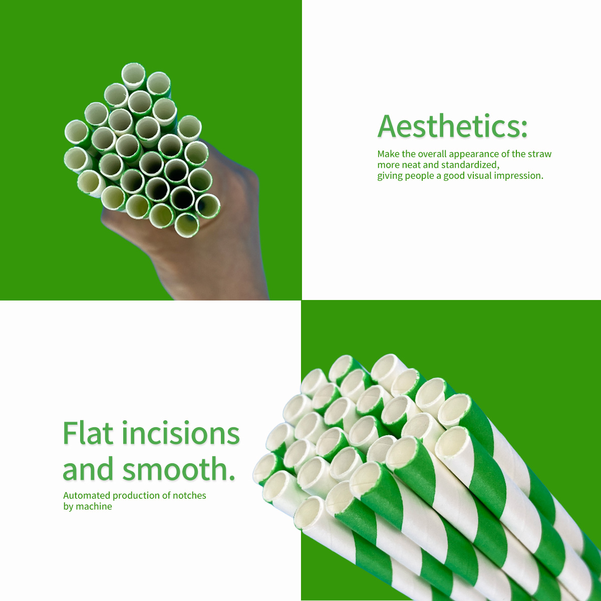 100 Pcs Biodegradable Green an - Wedding Supply In Bulk recensione e prezzo